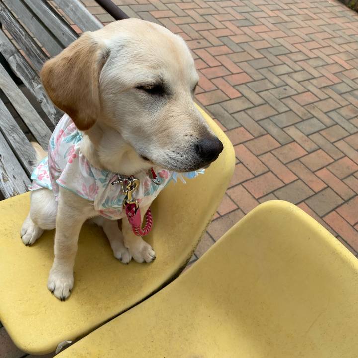 32ee2e6a 641f 4f53 809e 7c6235216da0 1620132721622