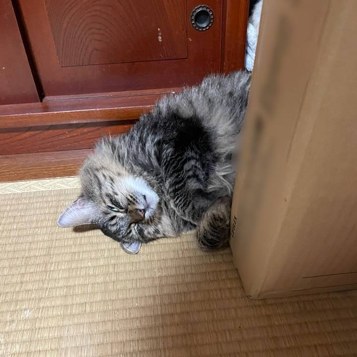 32ee5b21 c5c9 4af3 a955 eba440283225 1754737698894