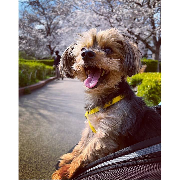 32ee6e2f b4cc 47c9 95c0 aed2d1de793c 1679464751831