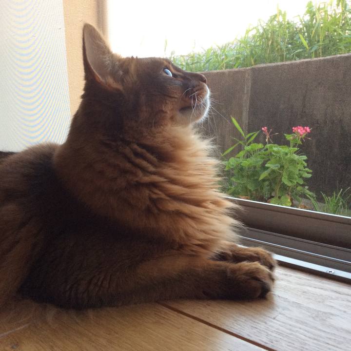 32ee70f7 04d4 4b5f ae51 739fd57b268e 1623233292916