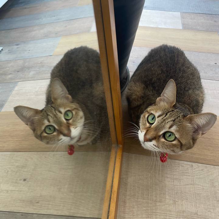 32ee7865 d7a5 473f a570 bd0d0f4343fc 1741580543107