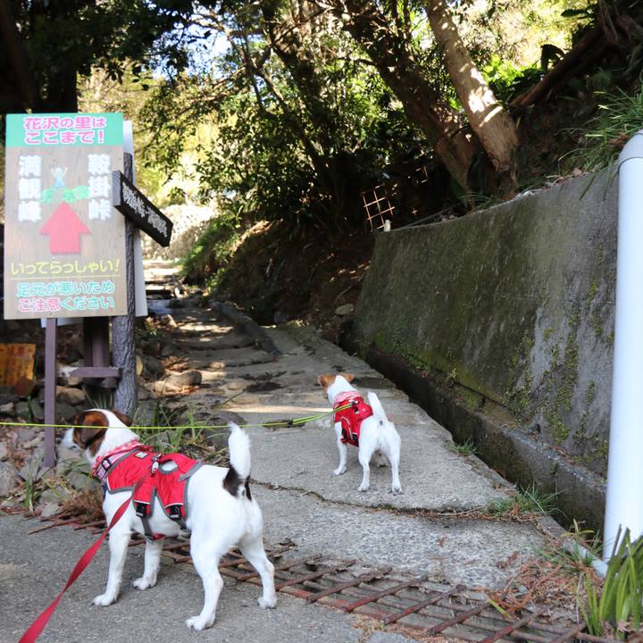 32ee7eab 8064 4ce8 b4c5 f67108c23686 1520055299405