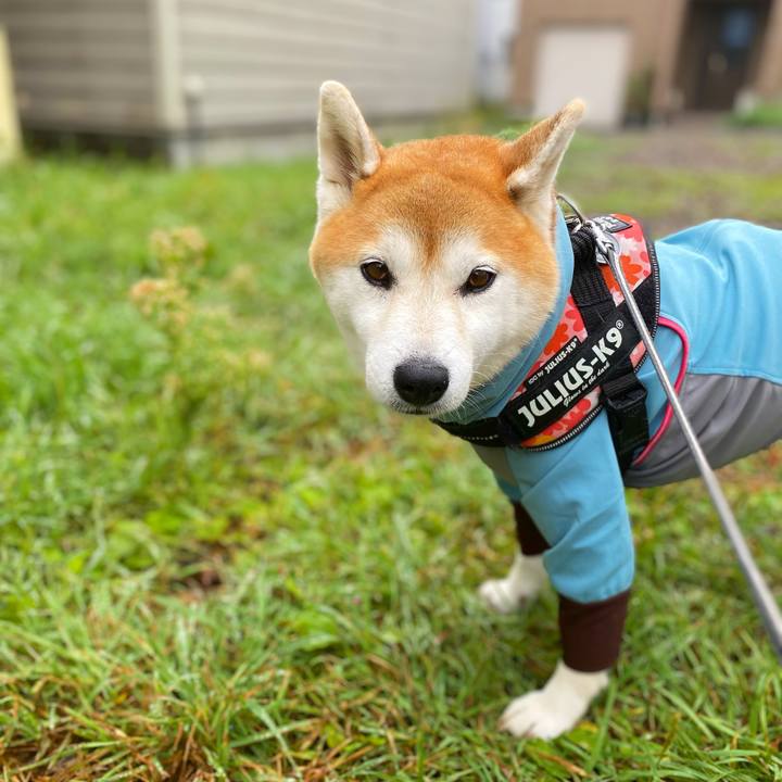 32eeca0e 09c3 4f72 820a a43220e2de12 1631145305878