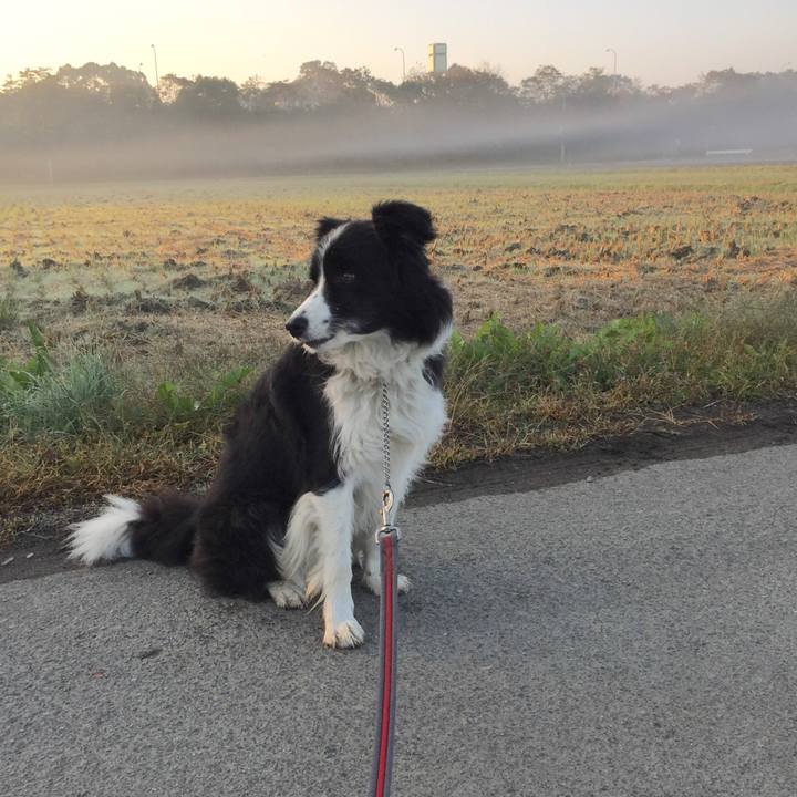 32eed3e6 a933 49d2 a137 05fbaf0f7114 1573601302650