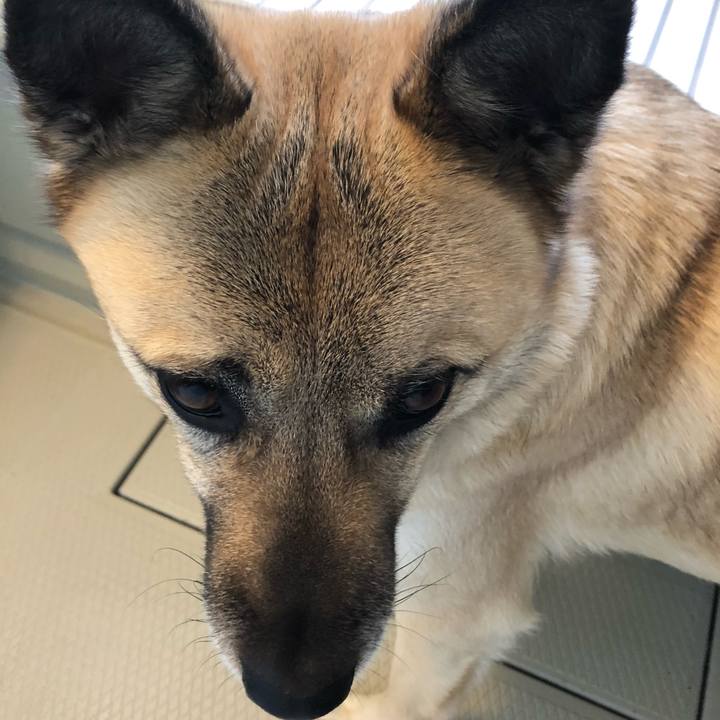 32eed930 f576 4278 a2f4 f009eccd9d3d 1615627198522