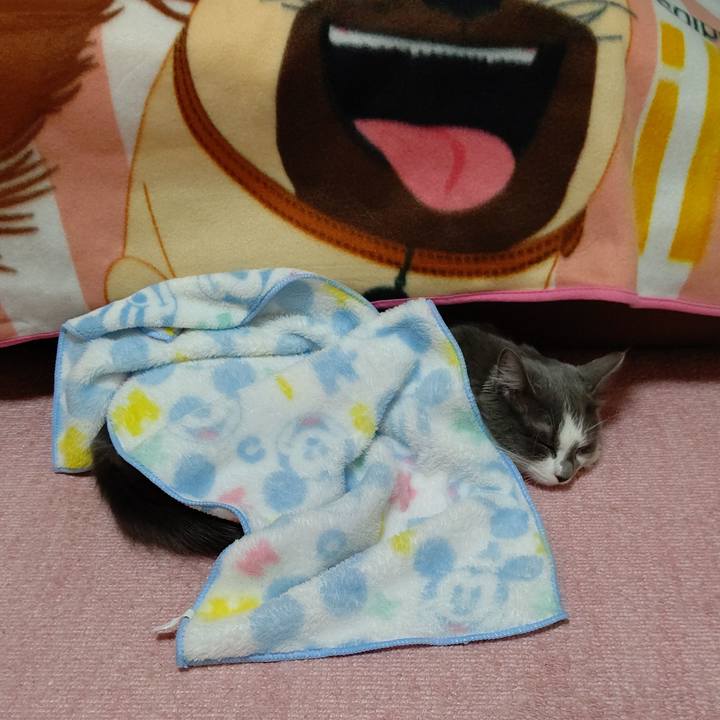 32ef89e7 d066 4d1d 949f 269b4146ec37 1572138961877