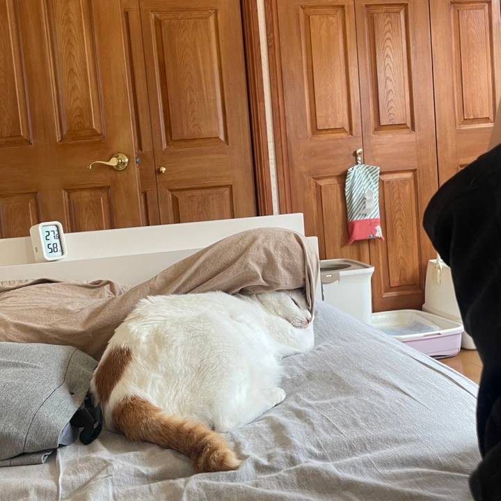 32efbf77 c3a6 42d1 960a 8eee491d245d 1687147044066