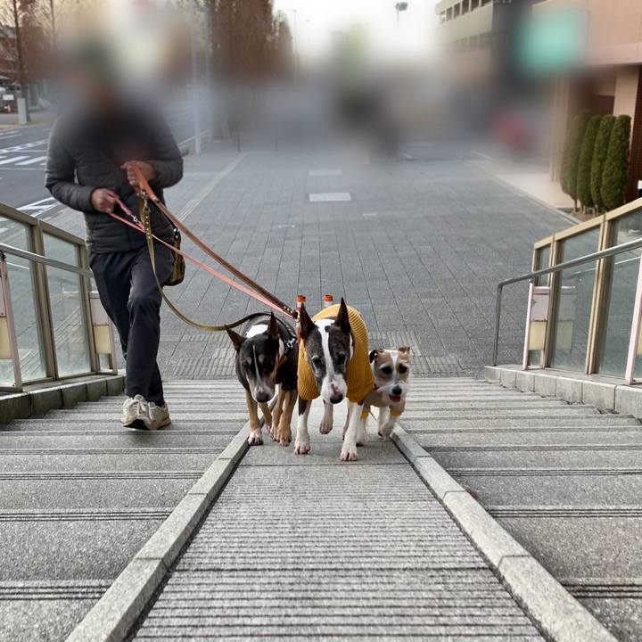 32eff0c9 8ed2 48a7 9298 edb548929e9c 1608382195295