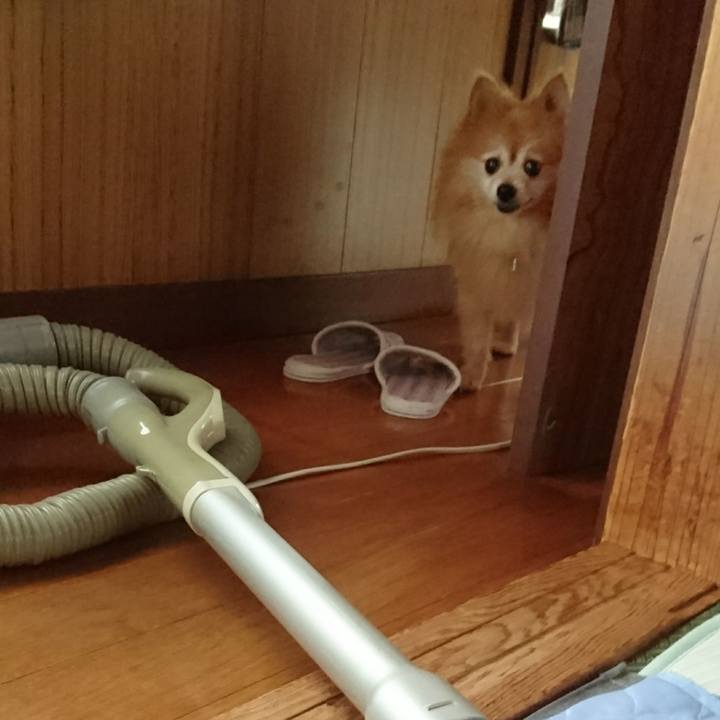 32f03afb cbde 439c 9a6a af363391a208 1535336850128