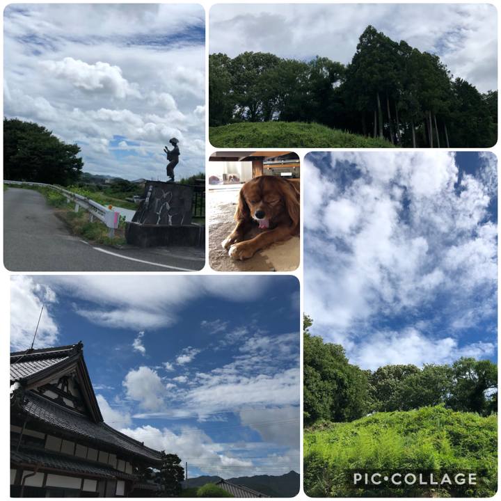 32f0507f cecb 4a51 9458 aa9ea3f78670 1597037135597