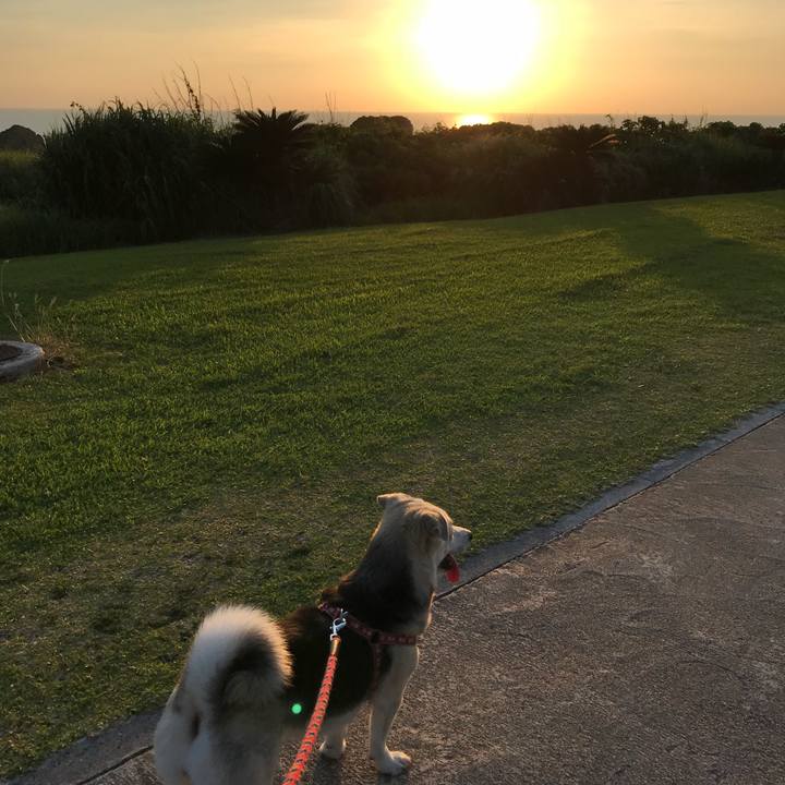 32f05cd1 ac67 4f7a b852 d1c5cf576fde 1527423979189