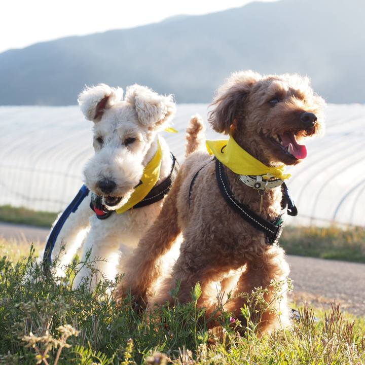 32f08cdb 0093 4f2e 9113 063ccb61d301 1555810043353