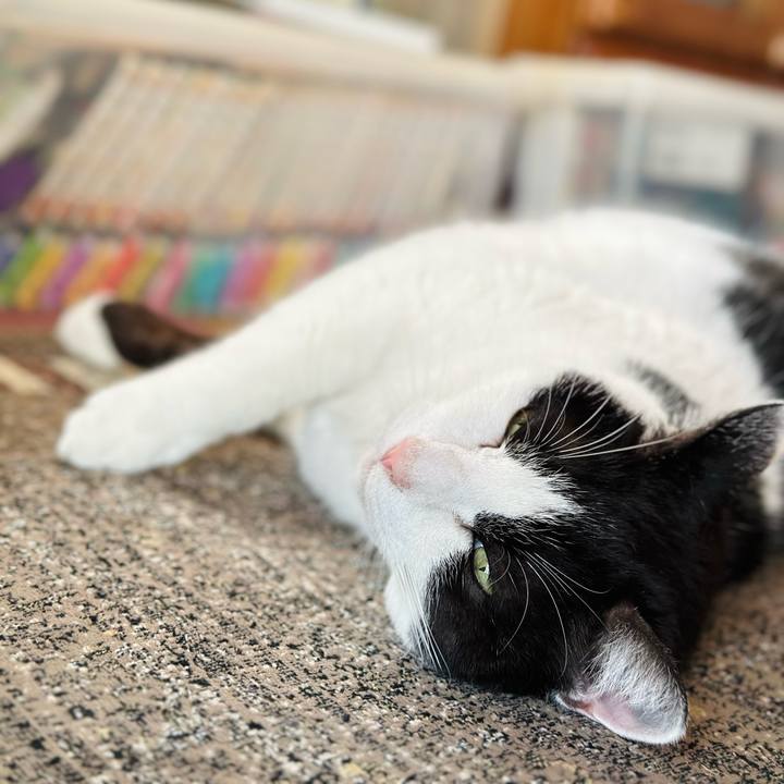 32f08d80 1e39 45b6 a74c 095c17b3a9f4 1710381224017