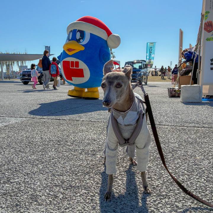 32f0ae23 3d84 4cdb bead 915fd5316c5f 1763280142187