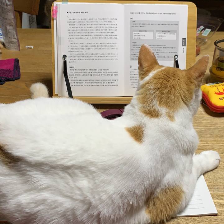 32f0be62 62f1 404c 8a76 ed47104d7e7d 1623069541341