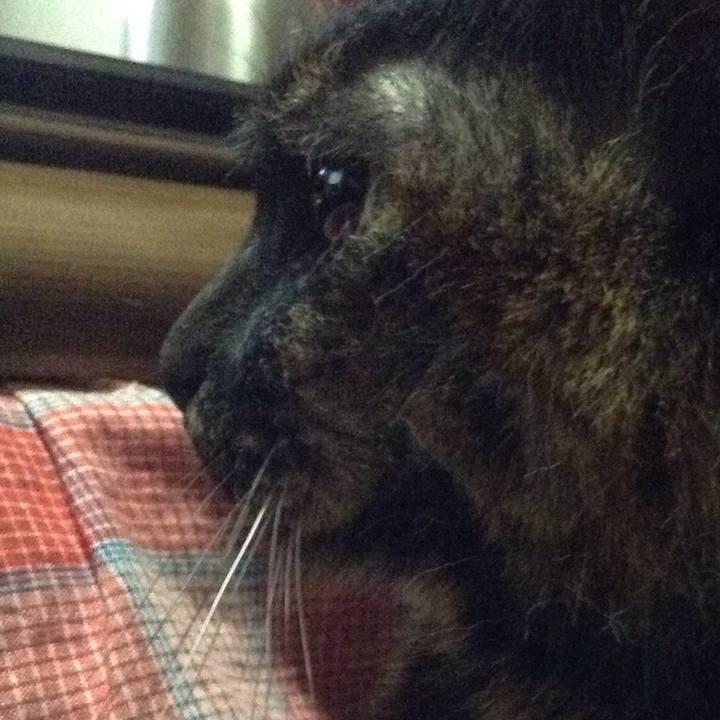 32f0d9df 7852 4e81 877a ddfe2136bd5f 1521503529541