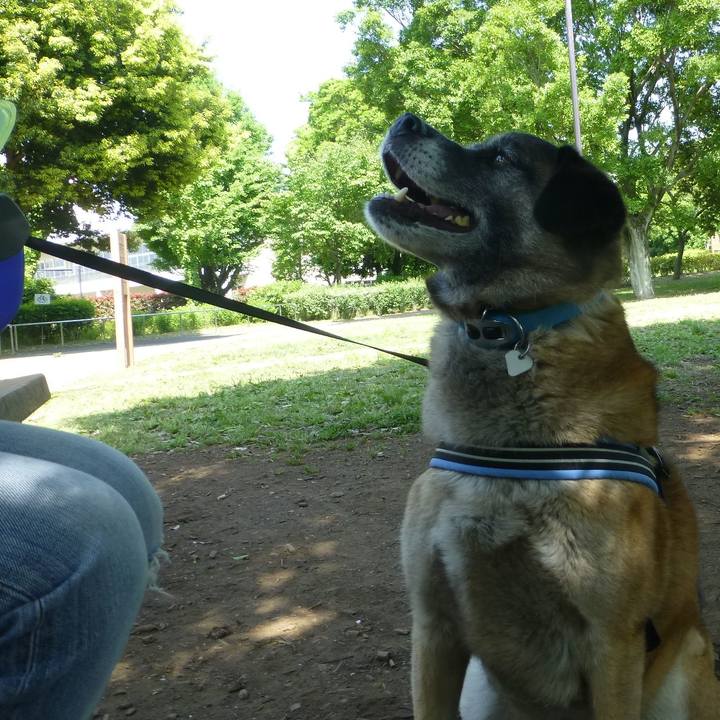 32f1212d d219 407a a3fa c714d492110a 1579912689277