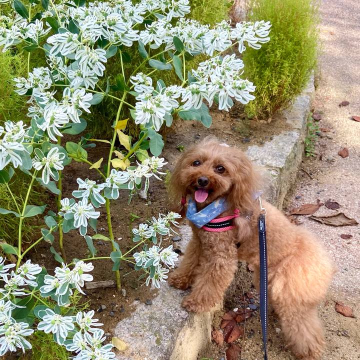 32f13331 a3c2 4720 95d7 b4d3bc59c21b 1757895010884