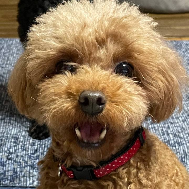 32f16974 4d64 4b13 a17b a5ce1f307c19 1621088359059