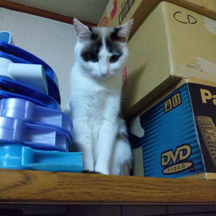 32f17b49 44e7 4b98 bee1 42c1260b540b 1547912205635