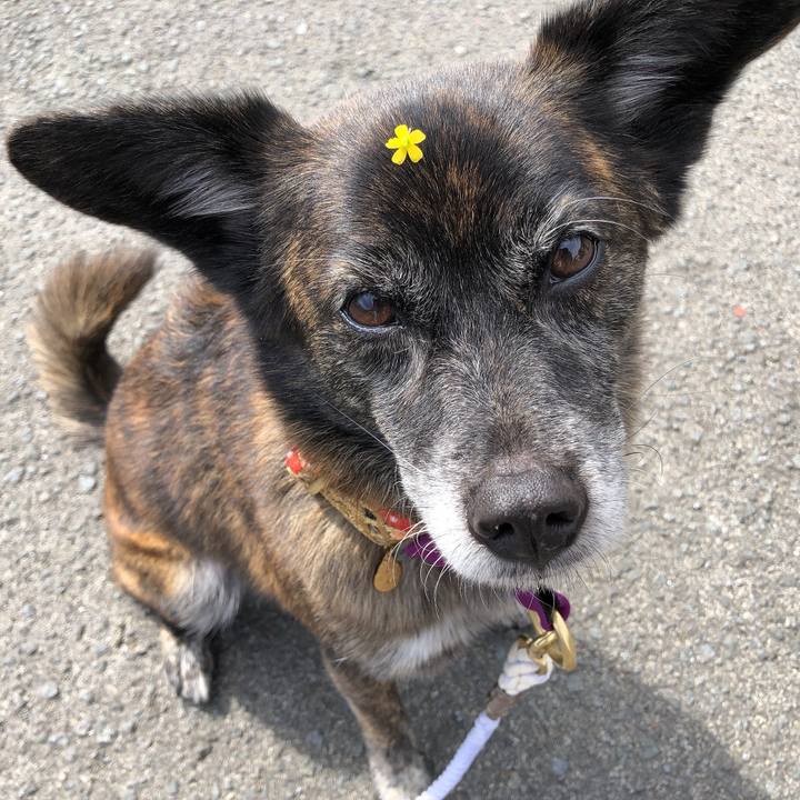 32f1d6f0 4c0c 4f7f b5a4 195eb5adf0bf 1603859410911