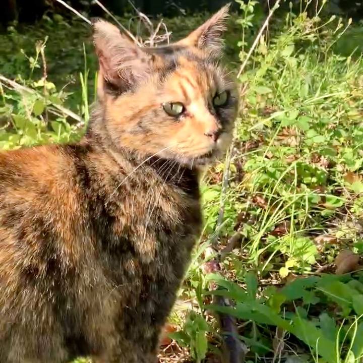 32f1f0a0 8d5a 4584 905c ba3ead8e0b52 1731034771457