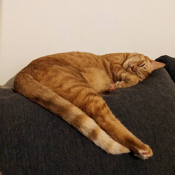 32f1f84e 973a 4812 840f 6c95bee58289 1683541804028