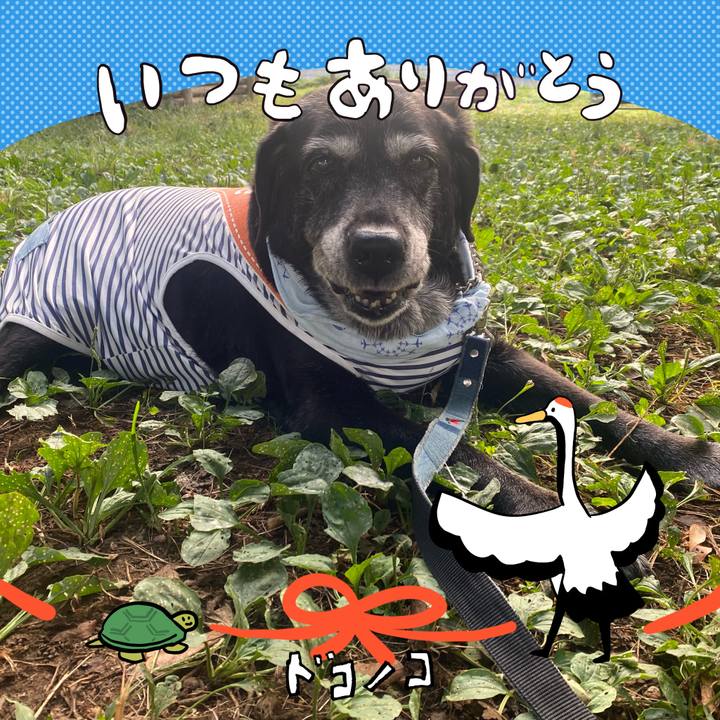 32f22977 5ff8 464b b101 905dfaf9cc84 1727300720983