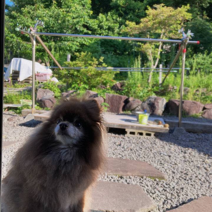 32f25796 8618 4b20 bc71 7d4166b9edcc 1688688263530