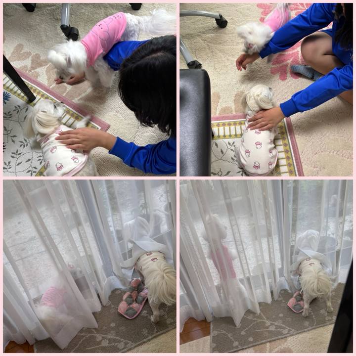 32f259f6 12a0 41a2 b0ba 5ac952732eb5 1746702662818