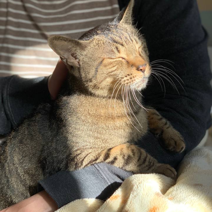 32f26abd 5ad6 480b 9a3f 8e1db98605f5 1576625898644