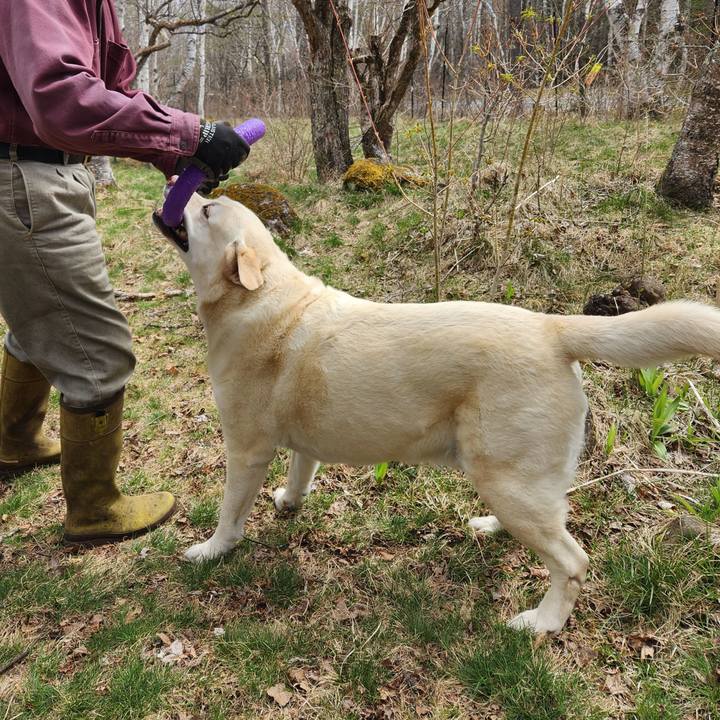 32f28e4c 3290 4d29 8808 89ea7073f8fa 1745818930279