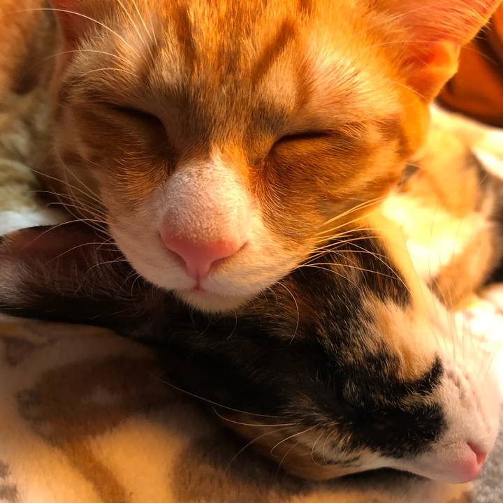 32f2a68f 3d00 42bb a30e 235b43faa2f7 1546177447442