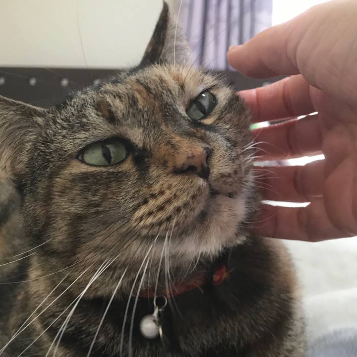 32f2ae33 1f6b 49e8 8ec4 fe78c17efe58 1524960314781