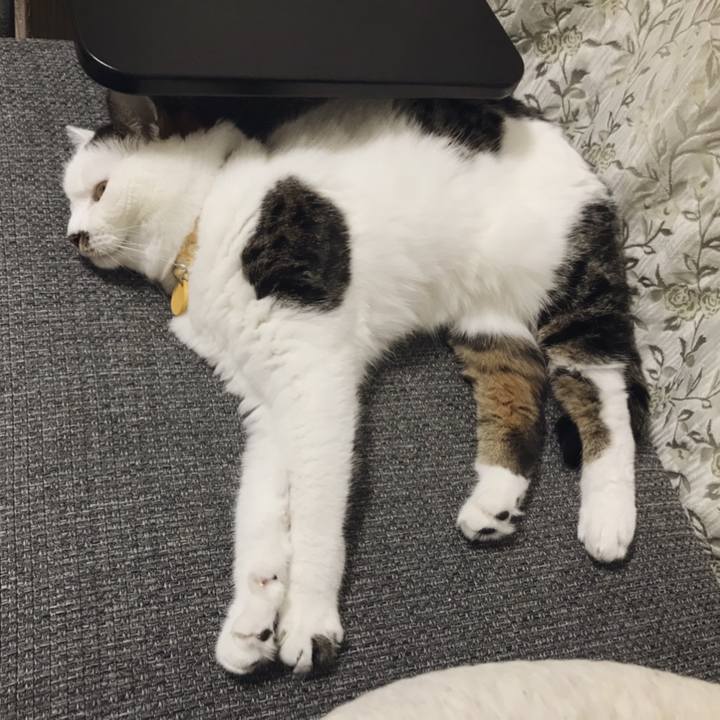 32f2cea6 c5af 46f5 8abd 2cda6d315f94 1564716108253