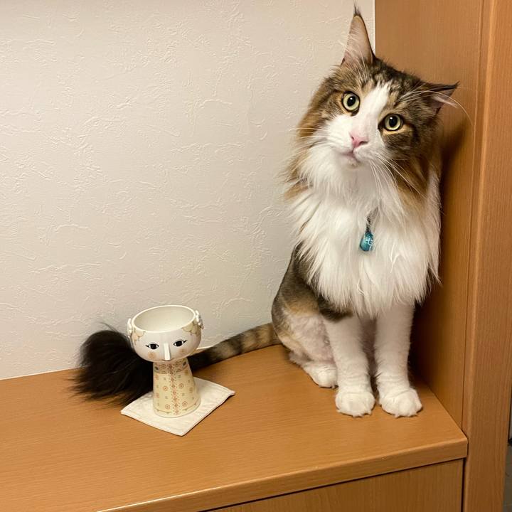 32f2e122 53ba 4a64 84a3 f7faf7f1c163 1721677706701