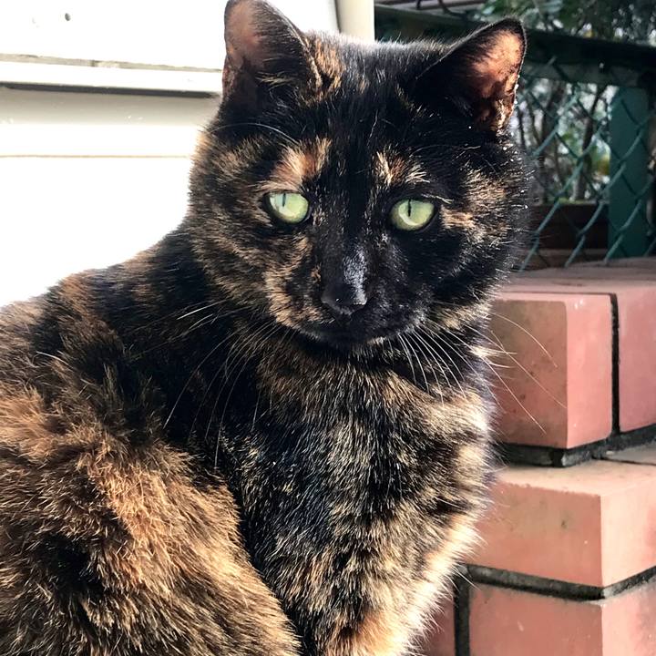 32f31105 8111 42ac 9027 f40c854ff62e 1579840812607