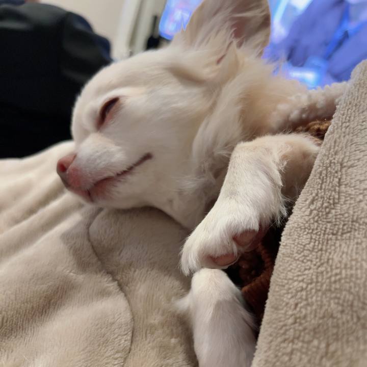 32f3509e aea9 473d 9ca2 99033517eb11 1730541580369