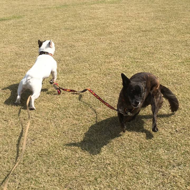 32f3b96e 942b 4ed8 a235 2cba1c33307f 1526819711728