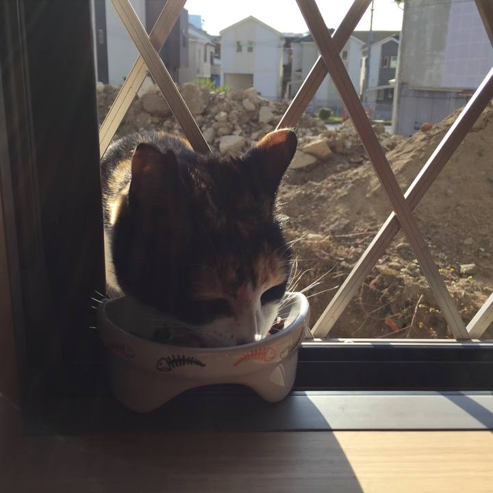 32f3d693 b84c 44ca 8896 7fb7e6535fcf 1514306088957