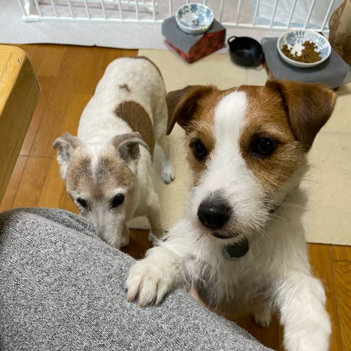 32f3e891 ddea 44eb 8faf 534e9daeec7a 1709505221762