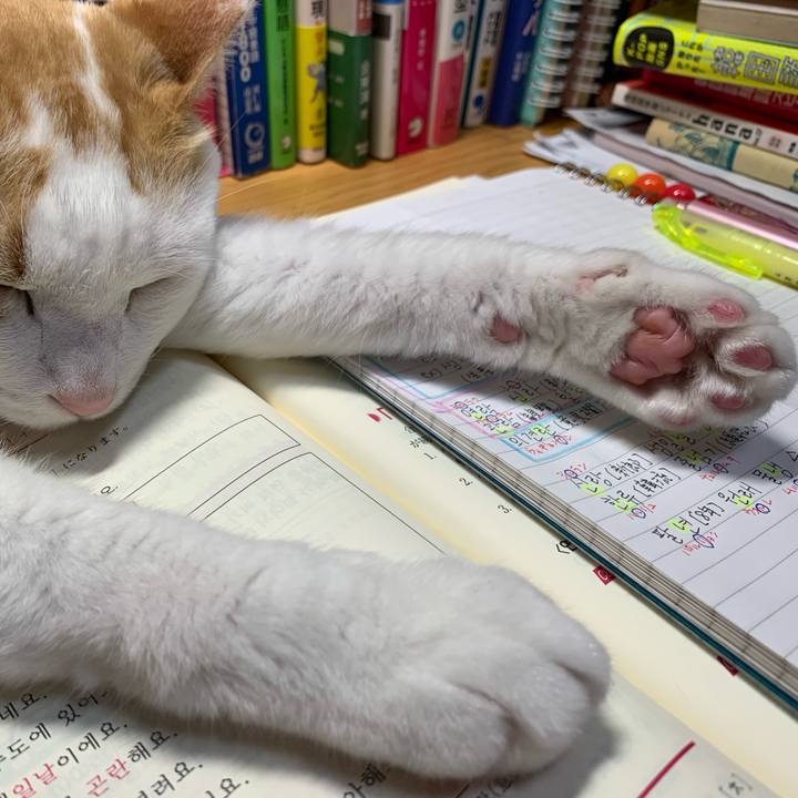 32f3ed06 7bb5 4c43 b183 ecc87d36c2ee 1621169888655