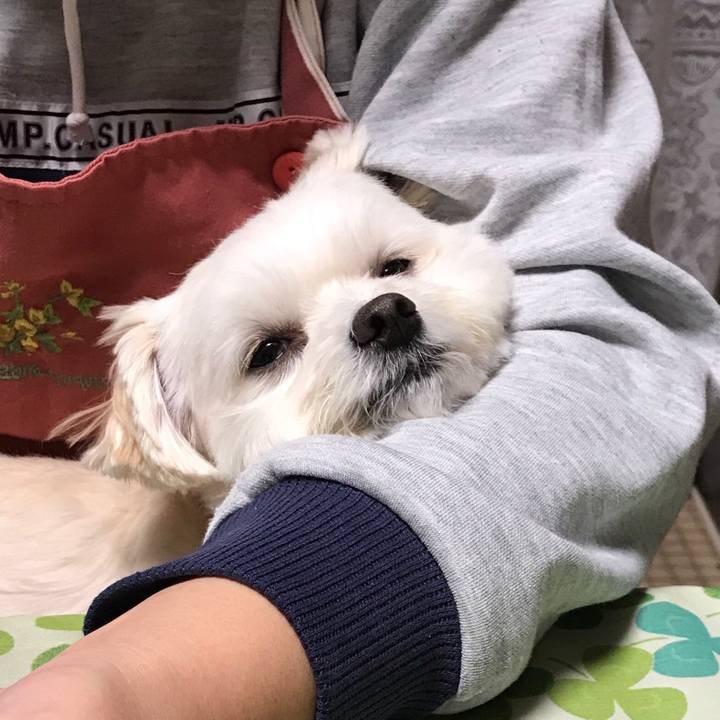 32f420df 0eab 4e2e a23f babb4b80f48b 1509628151433