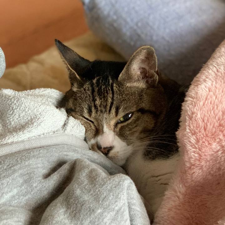 32f42b9b cf6f 4c22 9570 2235a54c81cd 1587345307706