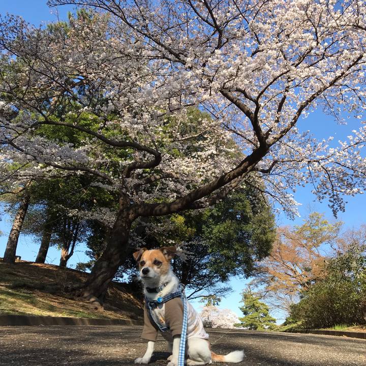 32f47916 5089 41a5 8036 fd4cebbe08b7 1554365763618