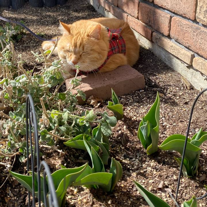 32f47f80 726f 40ed a0ae 7b5fa403639b 1773467888069