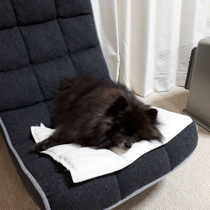 32f49d7e 9077 44de 9b16 60913d6eaef4 1517225514421