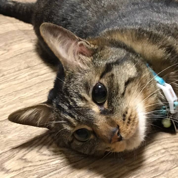 32f4a31a 8a37 4d8d a583 cb535563dceb 1565098767108