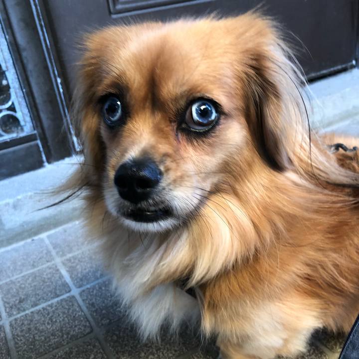 32f4a7c0 dcae 4c42 be27 3fd6ad6bcd89 1569535020121