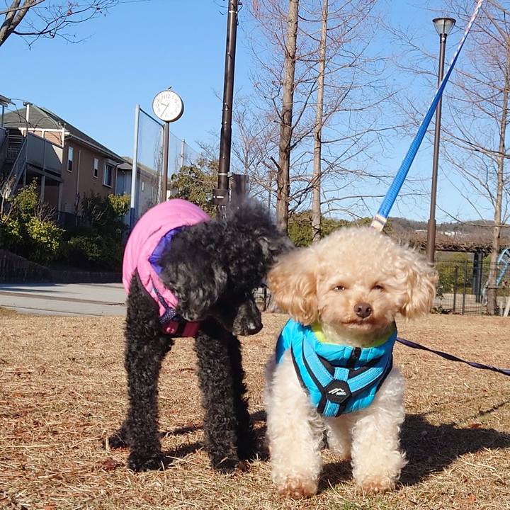 32f4c56b 8210 4165 9b34 bb3f1b420160 1767241074671